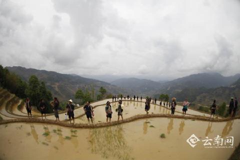 会唱歌的哈尼梯田——哈尼多声部民歌