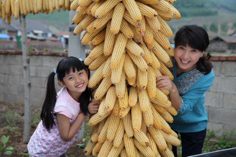 《豆腐西施杨七巧》第10-12集 分集剧情