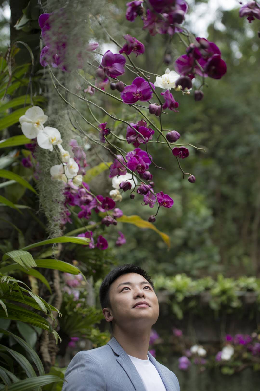 法治节目中心 《法治第一线》主持人 张文哲