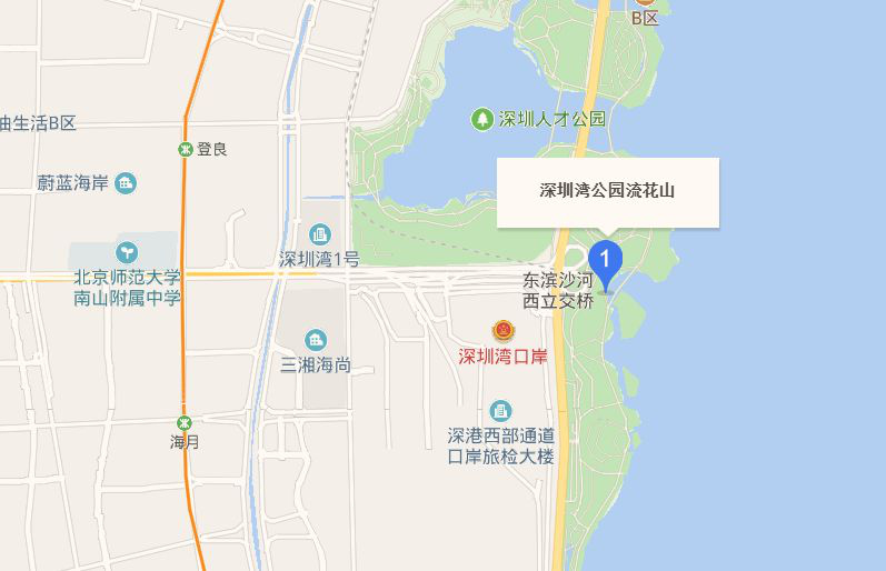 深圳湾公园网红花海开放!公交攻略来了