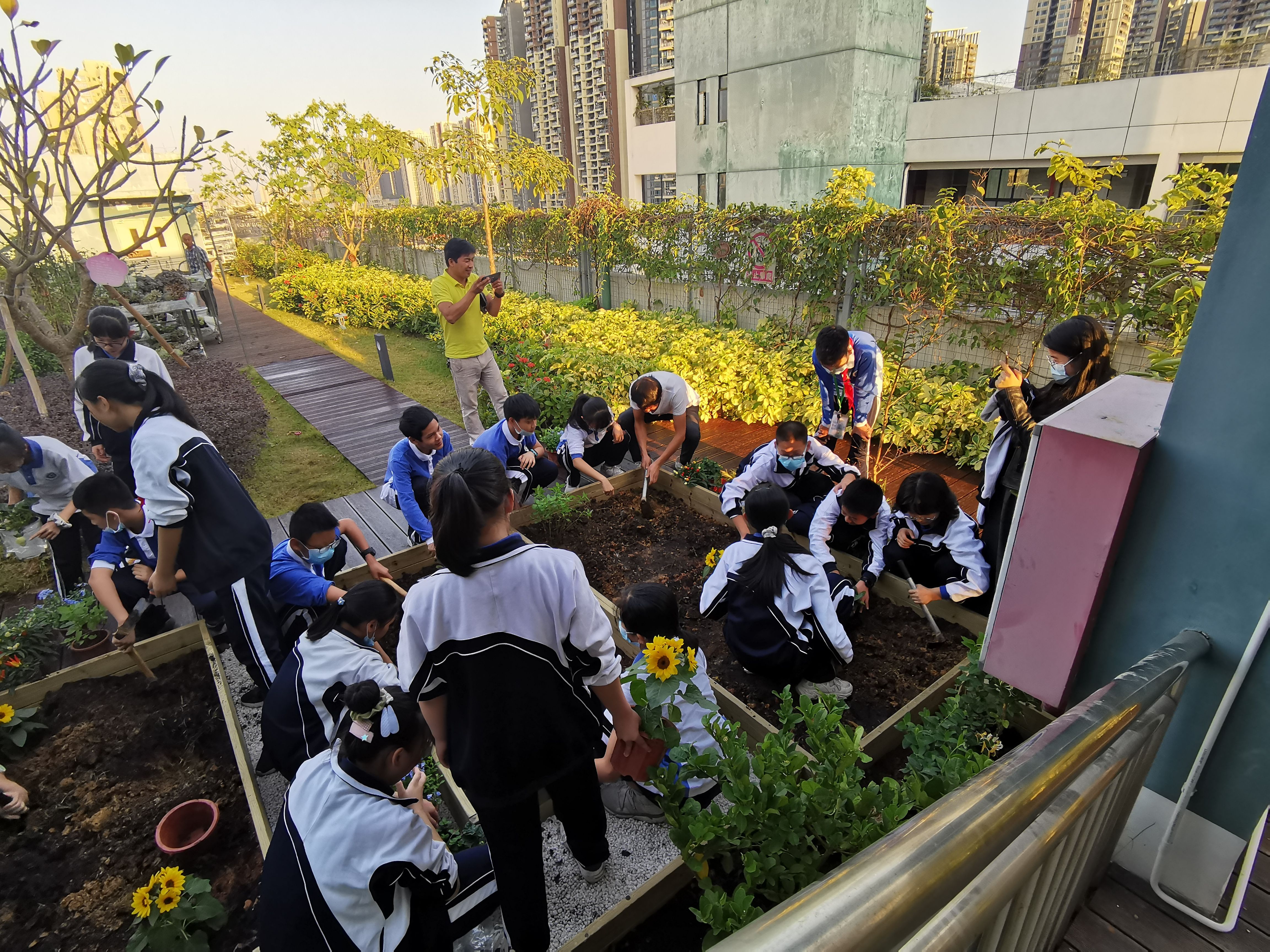 学生"操刀" 共建校园"开心农场"