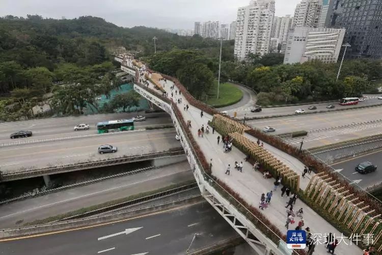 【乐活】深圳这条空中走廊开通!