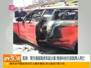 芜湖:警方通报路虎车起火案 情感纠纷引发致两人死亡