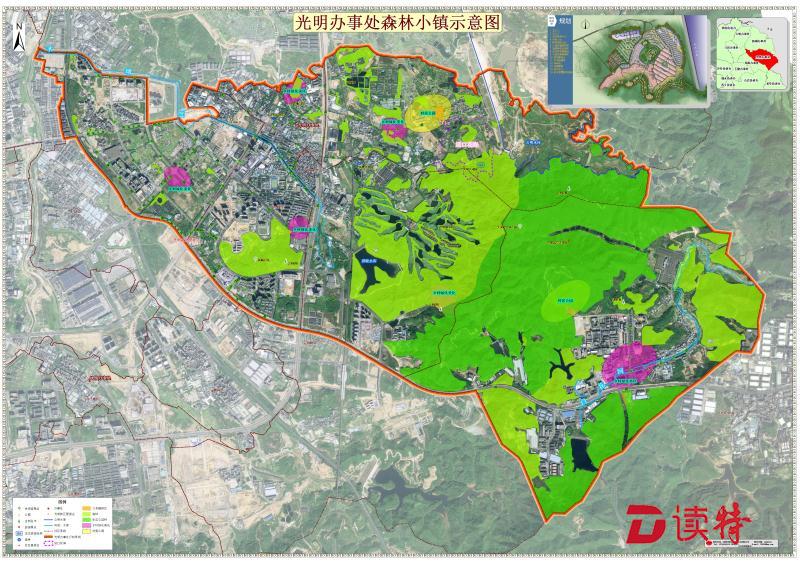 光明森林小镇成为深圳今年唯一被认定的省级森林小镇