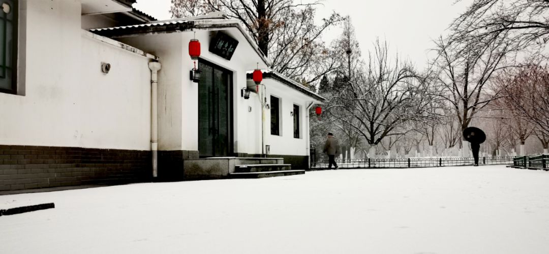 雪雪雪快看你们期待的故宫照片来了