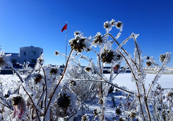 【图集】冬天来了!北方各地迎来降雪