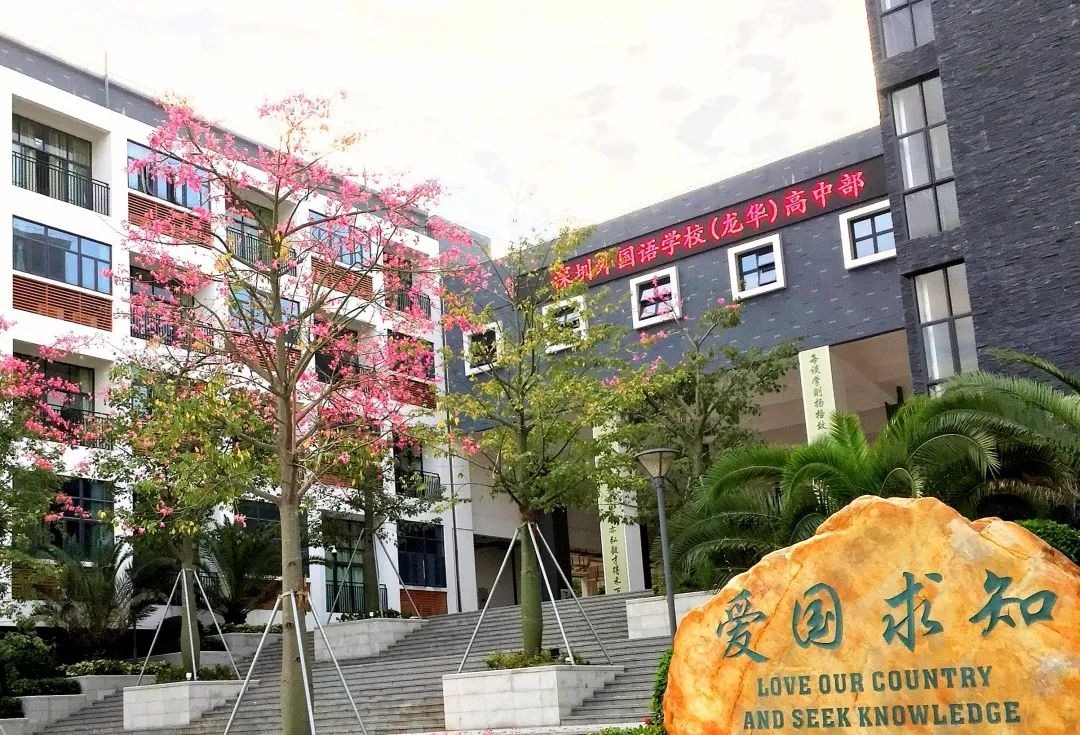 深外荣耀深外龙华高中部高考首秀优秀