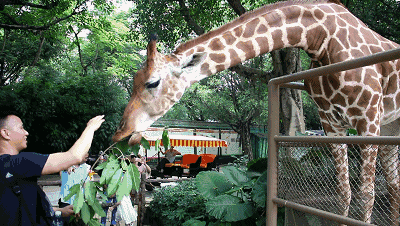 速扩散!这个周末"以母亲的名义",深圳,广州这些地方竟然不要钱!?