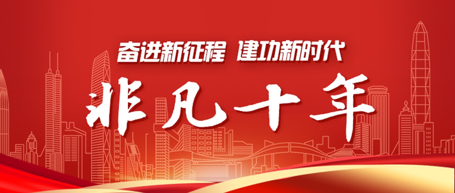 奋进新征程 建功新时代·非凡十年