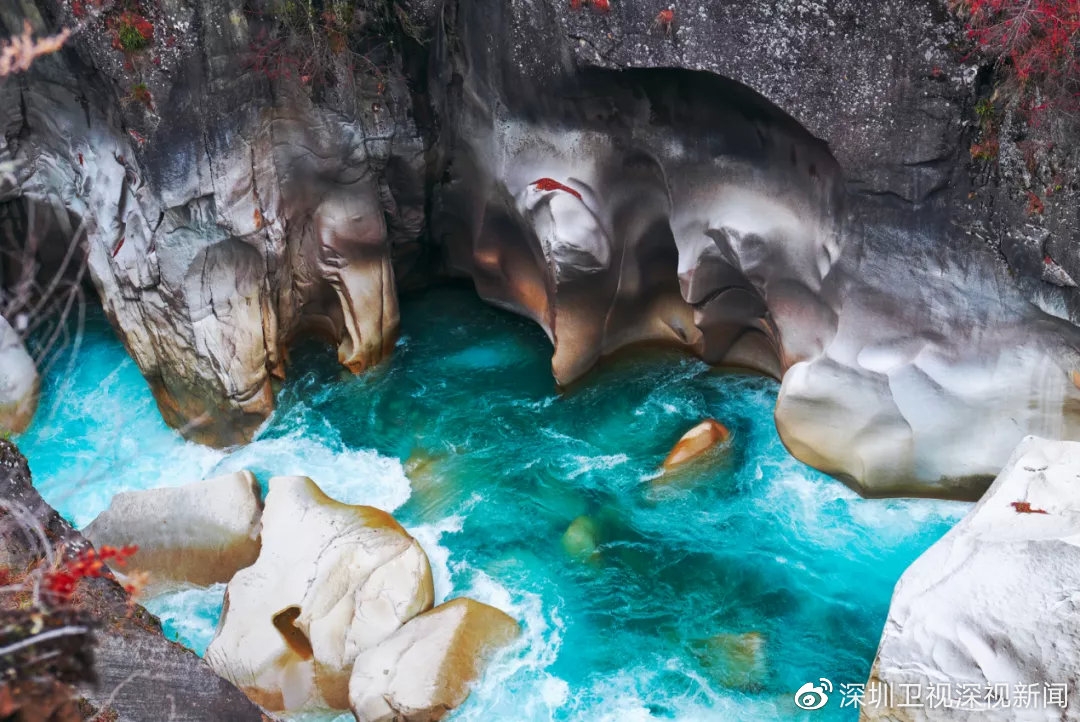 除了察隅的山和水,这些更令我们难忘……