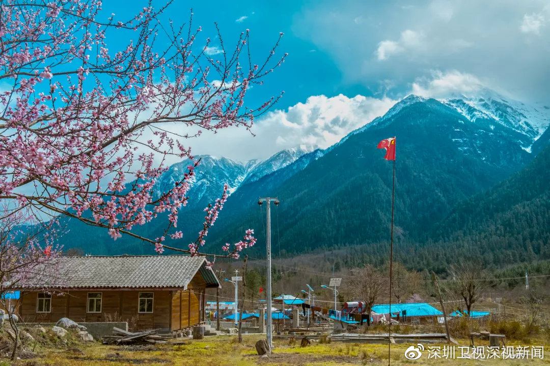 除了察隅的山和水,这些更令我们难忘……