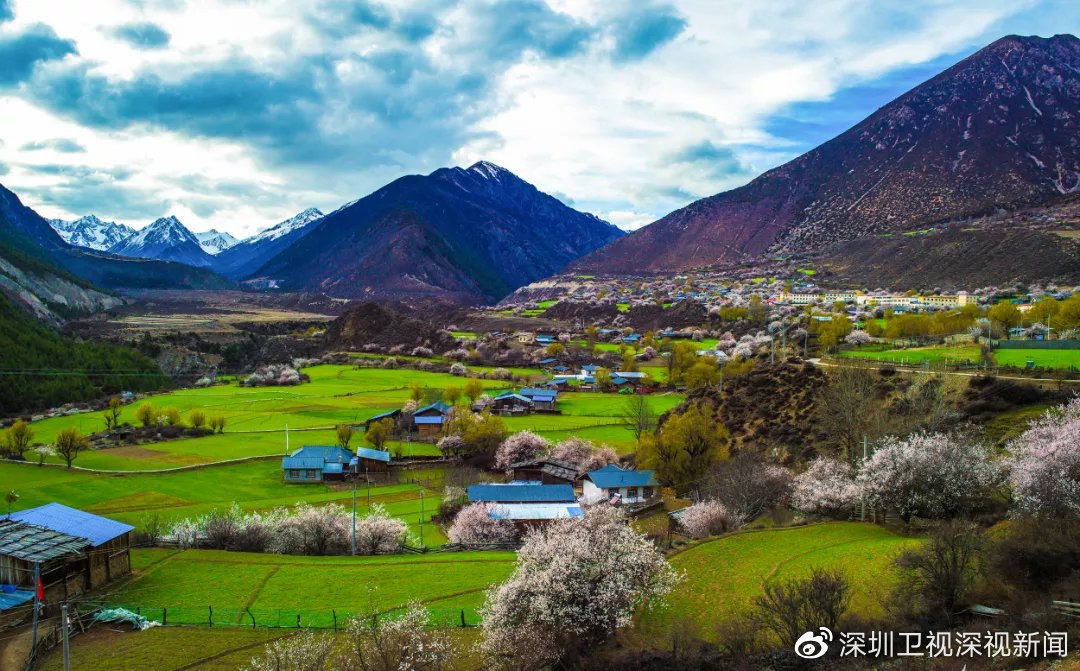 除了察隅的山和水,这些更令我们难忘……