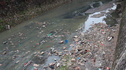 深圳310条河流黑臭河超一半污染多为生活污水直接入河